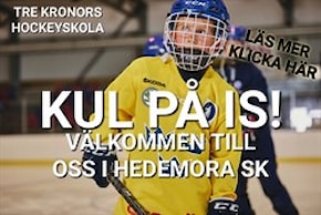 3kr hockeyskola