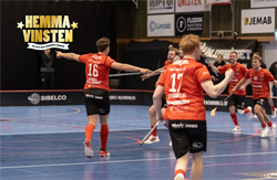 Hemmavinsten