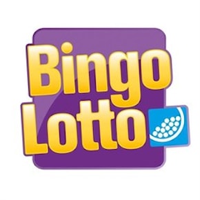 Bingolotter 