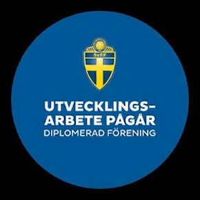 Utvecklingsarbete