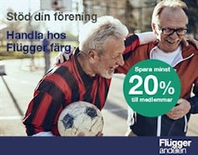 Flügger färg