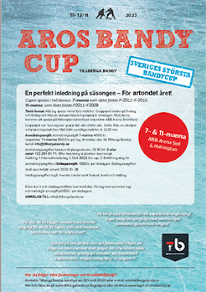 Aros Bandycup