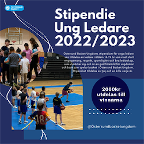 Ung Ledare Stipendiet