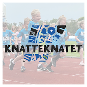 Knatteknatet