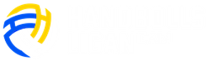 Handbollsligan dam