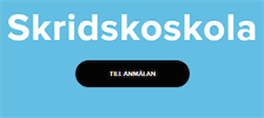 Skridskoskola