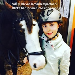Sponsorblad 2024