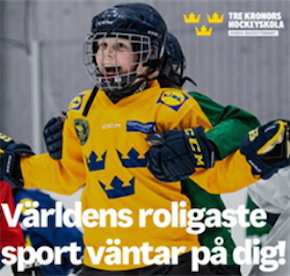 Virre Viking Hockeyskola