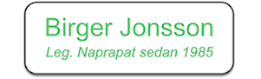 Birger Jonsson