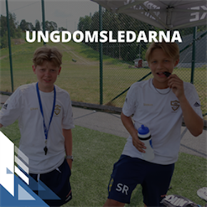 Ungdomsledarna