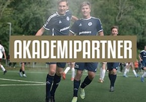 Akademipartner