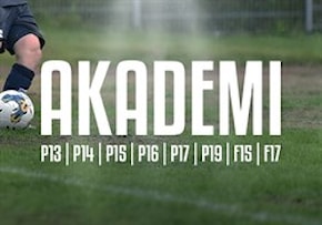 Akademi