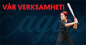 Vår verksamhet