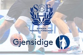 Gjensidige Handbollsförsäkring