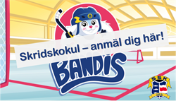 Anmälan Skridskokul