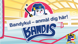 Anmälan Bandykul