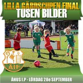 SÄSONGSFINAL LILLA GÄRDSCUPEN 2024