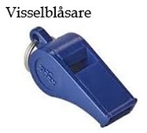 Visselblåsare