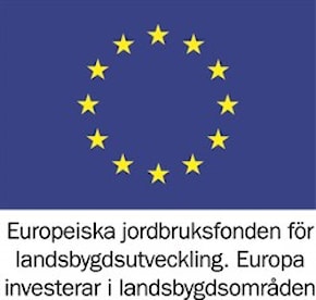 EU-logga bidrag solceller
