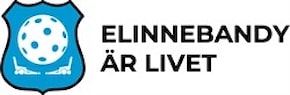 Elinnebandy är livet