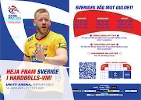 Handbolls VM