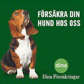 Dina Försäkringar 