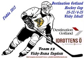 Destination Gotland Hockey Cup