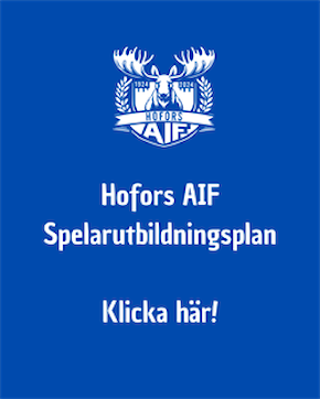 Spelarutbildningsplan