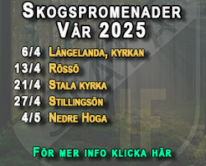 Skogspromenader