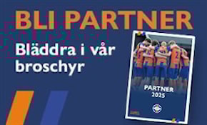 Bli Partner