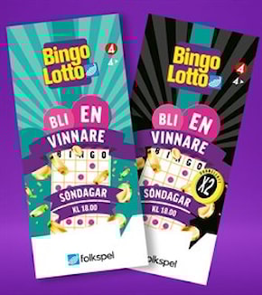 Bingolotto