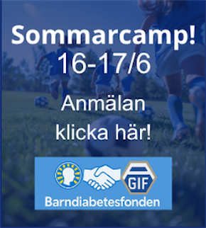 Sommarcamp
