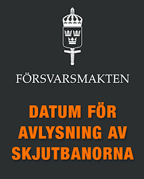 AVLYSNING
