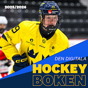Den digitala hockey boken
