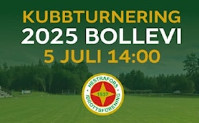 Kubbturnering 2025