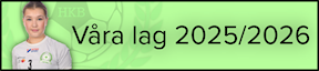 Våra lag