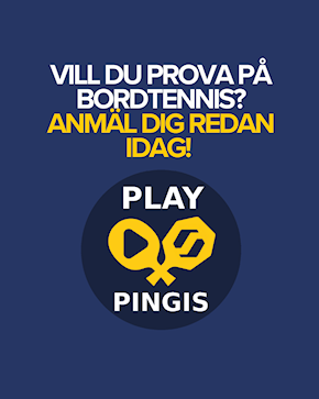 PLAY PINGIS