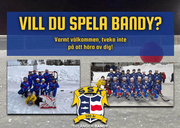 Vill du spela bandy?