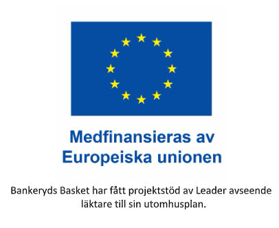 Leader