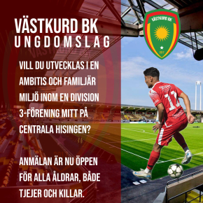 Ungdomslag