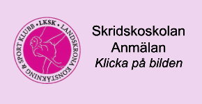 Anmälan till skridskoskola
