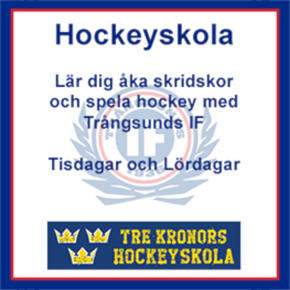 Hockeyskolan