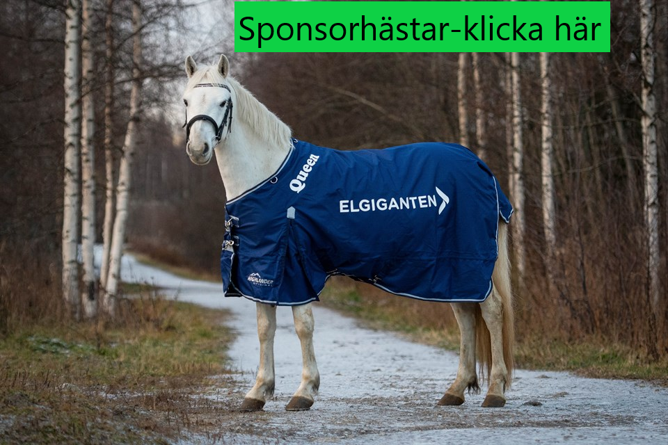 Sponsorhästar bilder