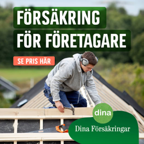 Dina Försäkring