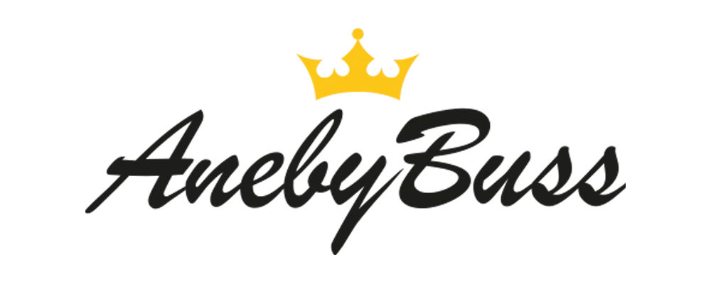 Aneby Buss