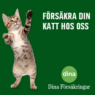 Dina Försäkringar