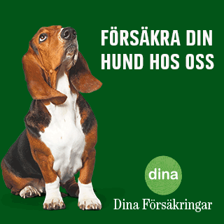 Hundförsäkring hos Dina Försäkringar
