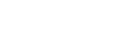 Warrior Hockey