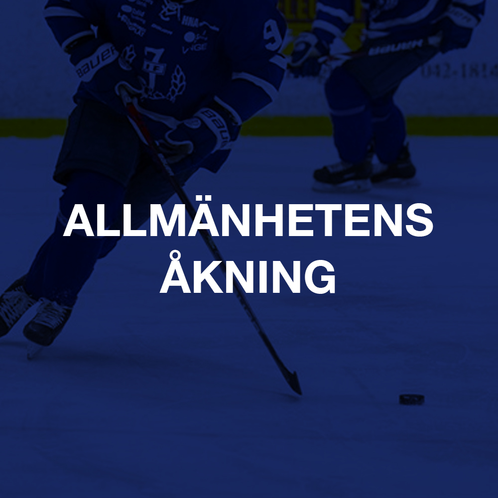 Allmänhetens åkning