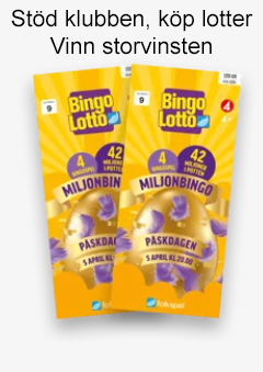 Folkspel/Bingolotto
